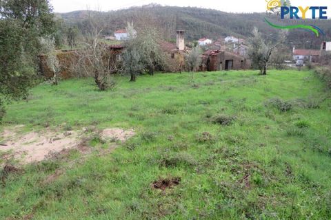Landejendom i Serta, Castelo Branco, Serta - € 42.500 | Ref: IS02 - foto 5