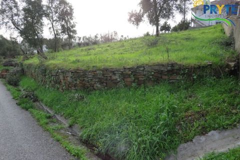 Landejendom i Serta, Castelo Branco, Serta - € 42.500 | Ref: IS02 - foto 6