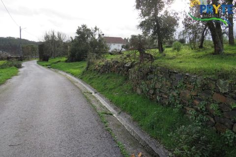 Landejendom i Serta, Castelo Branco, Serta - € 42.500 | Ref: IS02 - foto 8