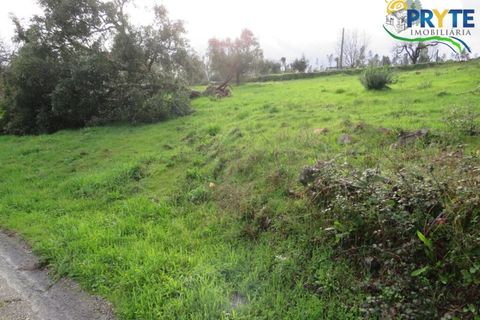 Landejendom i Serta, Castelo Branco, Serta - € 42.500 | Ref: IS02 - foto 9