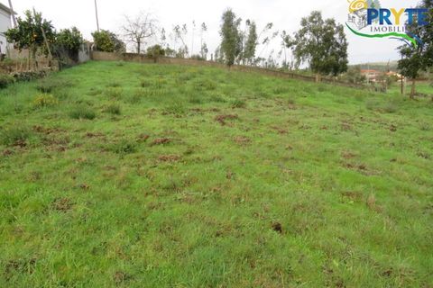 Landejendom i Serta, Castelo Branco, Serta - € 42.500 | Ref: IS02 - foto 10