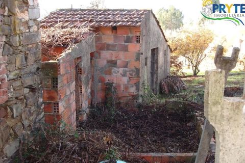 Landejendom i Serta, Castelo Branco, Serta - € 42.500 | Ref: IS02 - foto 11