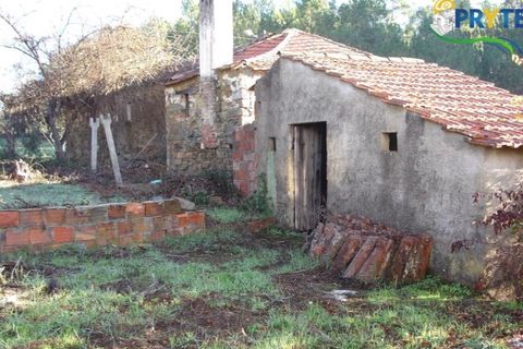Landejendom i Serta, Castelo Branco, Serta - € 42.500 | Ref: IS02 - foto 14