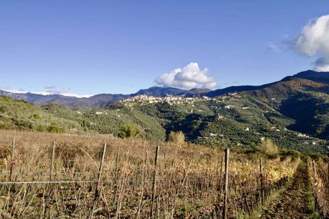 Helårsgrund i Perinaldo, Imperia, Perinaldo - € 275.000 | Ref: T220-840721 - foto 1