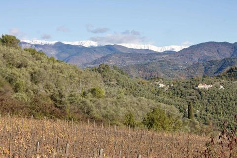 Helårsgrund i Perinaldo, Imperia, Perinaldo - € 275.000 | Ref: T220-840721 - foto 2