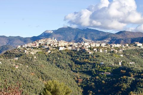 Helårsgrund i Perinaldo, Imperia, Perinaldo - € 275.000 | Ref: T220-840721 - foto 5