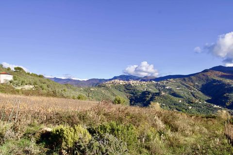 Helårsgrund i Perinaldo, Imperia, Perinaldo - € 275.000 | Ref: T220-840721 - foto 6