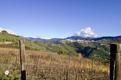 Helårsgrund i Perinaldo, Imperia, Perinaldo - € 275.000 | Ref: T220-840721 - foto 7