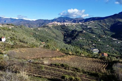 Helårsgrund i Perinaldo, Imperia, Perinaldo - € 275.000 | Ref: T220-840721 - foto 9