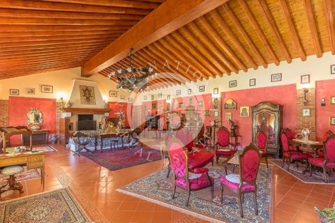 Villa i Castelletto Uzzone, Cuneo, Castelletto Uzzone - € 2.350.000 | Ref: IB 768 - foto 16