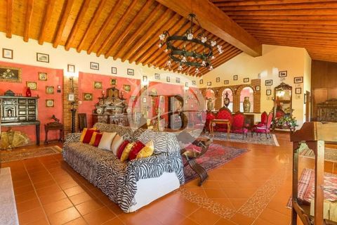 Villa i Castelletto Uzzone, Cuneo, Castelletto Uzzone - € 2.350.000 | Ref: IB 768 - foto 18