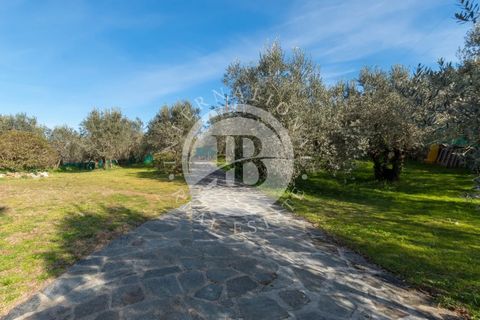 Villa i Bagno a Ripoli, Florence, Bagno a Ripoli - € 2.600.000 | Ref: IB 779 - foto 10