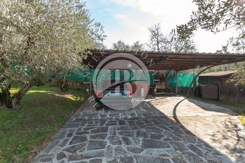 Villa i Bagno a Ripoli, Florence, Bagno a Ripoli - € 2.600.000 | Ref: IB 779 - foto 11