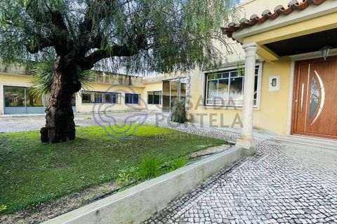Byhus i Pombal, Leiria, Pombal - € 480.000 | Ref: 1120331 - foto 31