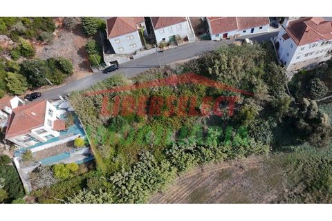 Helårsgrund i A dos Cunhados e Maceira, Lisbon, A dos Cunhados e Maceira - € 150.000 | Ref: TRN019 - foto 2