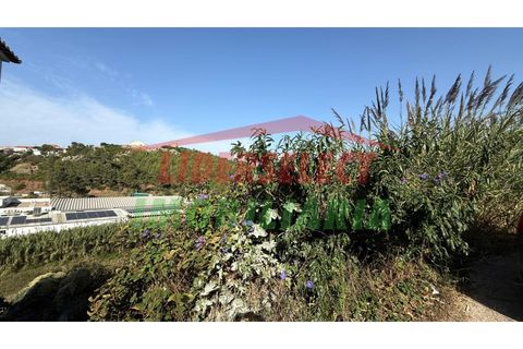 Helårsgrund i A dos Cunhados e Maceira, Lisbon, A dos Cunhados e Maceira - € 150.000 | Ref: TRN019 - foto 4