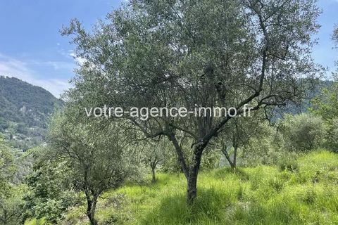 Helårsgrund i Coaraze, Alpes-Maritimes, Coaraze - € 57.000 | Ref: 85964988 - foto 7