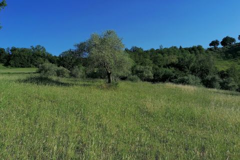 Helårsgrund i Corridonia, Macerata, Corridonia - € 65.000 | Ref: MC0-33784 - foto 3