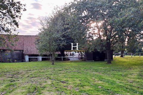 Villa in Avroult, Pas-de-Calais, Avroult - € 315.000 | Ref: 2865-HELMAN - foto 17