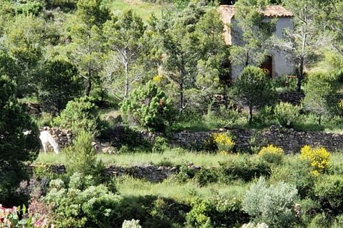 Villa i Clermont l'Herault, Herault, Clermont l'Herault - € 690.000 | Ref: 3011436650 - foto 15