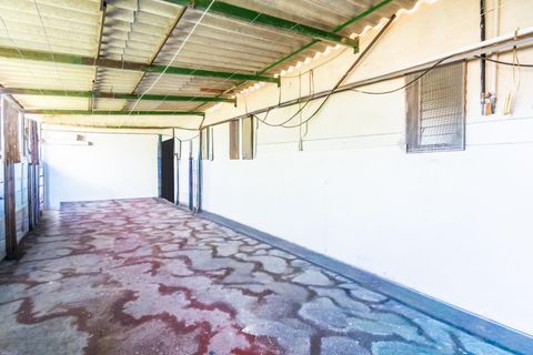 Villa a La Laguna, Tenerife, La Laguna - € 397.000 | Ref: 0067-04601/2961 - foto 22