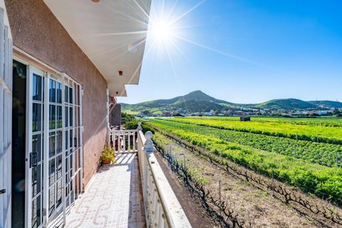 Villa a La Laguna, Tenerife, La Laguna - € 397.000 | Ref: 0067-04601/2961 - foto 43