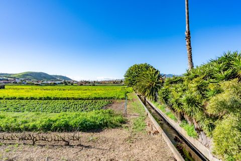 Villa a La Laguna, Tenerife, La Laguna - € 397.000 | Ref: 0067-04601/2961 - foto 45