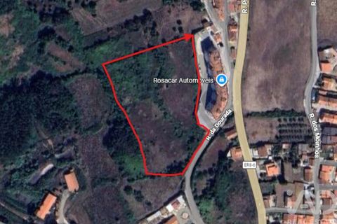 Helårsgrund i Alcobaca, Leiria, Alcobaca - € 285.000 | Ref: 809239 - foto 3
