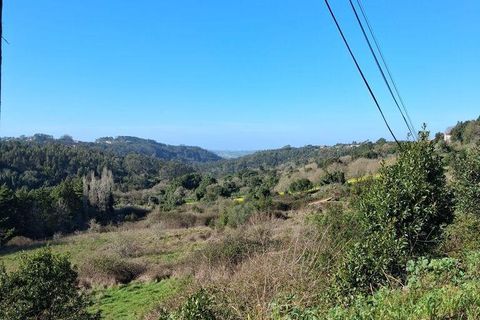 Helårsgrund i Alcobaca, Leiria, Alcobaca - € 285.000 | Ref: 809239 - foto 4