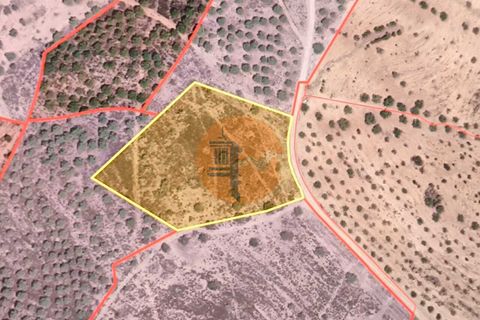 Helårsgrund i Castro Marim, Faro, Castro Marim - € 18.900 | Ref: SU-CS-TR-94258 - foto 2