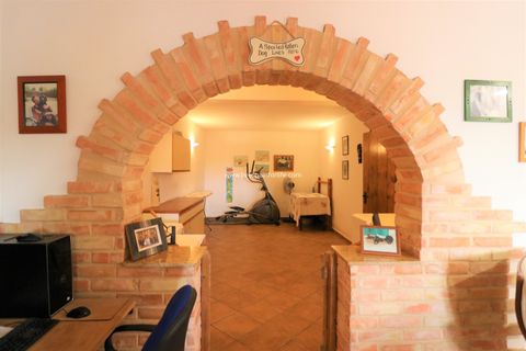 Landejendom i Barinas, Murcia, Barinas - € 350.000 | Ref: BAR JN Mur - foto 19
