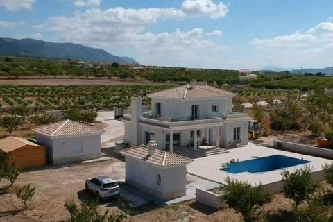 Villa i Pinoso, Alicante, Pinoso - € 491.000 | Ref: DM-98060 - foto 2