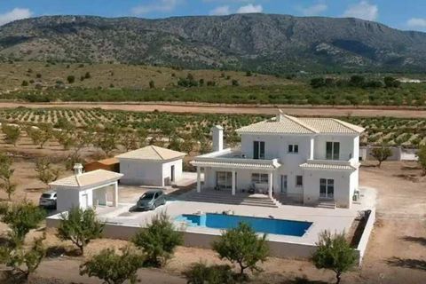 Villa i Pinoso, Alicante, Pinoso - € 491.000 | Ref: DM-98060 - foto 3