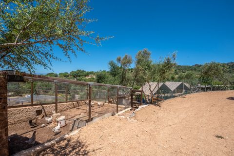Casa di campagna Son Macia, Mallorca, Son Macia - € 944.000 | Ref: 20-1500 - photo 13