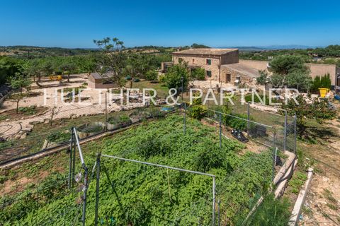 Casa di campagna Son Macia, Mallorca, Son Macia - € 944.000 | Ref: 20-1500 - photo 19