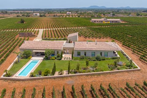 Villa en Biniali, Mallorca, Biniali - € 3.950.000 | Ref: FALC-Nep-61646 - photo 2