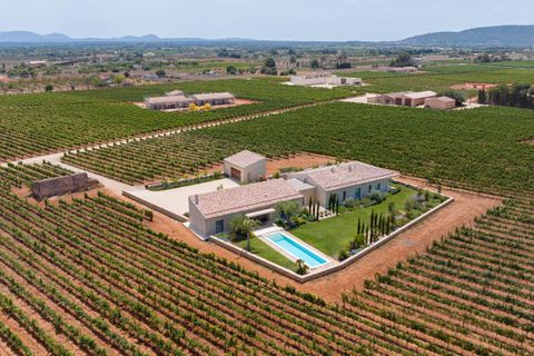 Villa en Biniali, Mallorca, Biniali - € 3.950.000 | Ref: FALC-Nep-61646 - photo 3