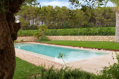Villa en Biniali, Mallorca, Biniali - € 3.950.000 | Ref: FALC-Nep-61646 - photo 30