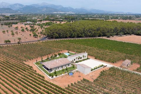 Villa en Biniali, Mallorca, Biniali - € 3.950.000 | Ref: FALC-Nep-61646 - photo 34
