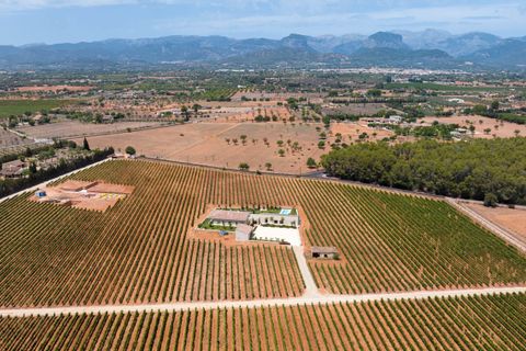 Villa en Biniali, Mallorca, Biniali - € 3.950.000 | Ref: FALC-Nep-61646 - photo 35