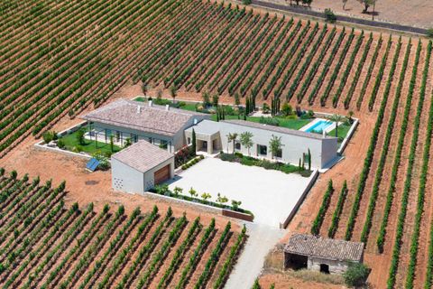 Villa en Biniali, Mallorca, Biniali - € 3.950.000 | Ref: FALC-Nep-61646 - photo 37