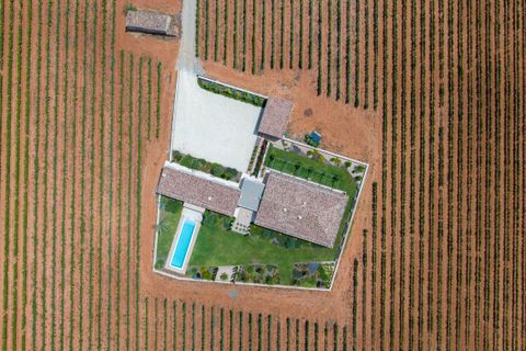 Villa en Biniali, Mallorca, Biniali - € 3.950.000 | Ref: FALC-Nep-61646 - photo 38