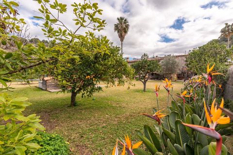 Finca a Soller, Mallorca, Soller - € 1.800.000 | Ref: FALC-Nep-61667 - foto 2
