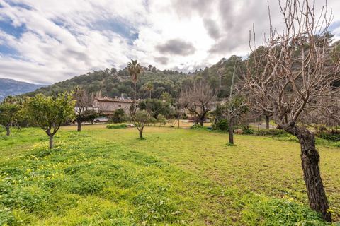 Finca a Soller, Mallorca, Soller - € 1.800.000 | Ref: FALC-Nep-61667 - foto 3