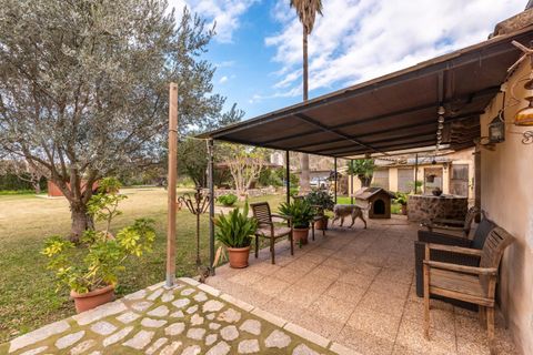 Finca a Soller, Mallorca, Soller - € 1.800.000 | Ref: FALC-Nep-61667 - foto 10