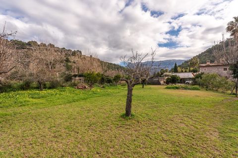 Finca a Soller, Mallorca, Soller - € 1.800.000 | Ref: FALC-Nep-61667 - foto 33