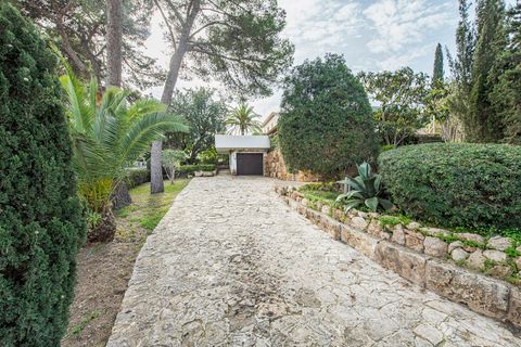 Villa a Son Veri, Mallorca, Son Veri - € 1.600.000 | Ref: FALC-Nep-61672 - foto 33