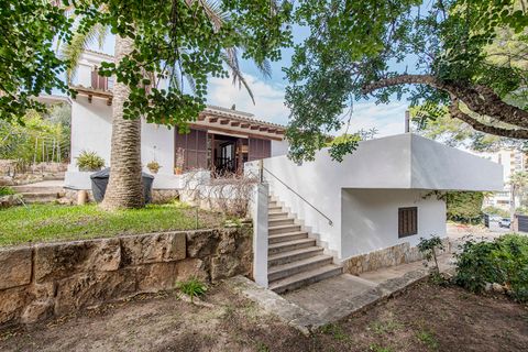 Villa a Son Veri, Mallorca, Son Veri - € 1.600.000 | Ref: FALC-Nep-61672 - foto 34
