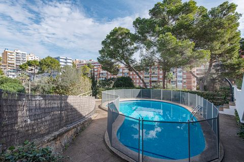 Villa a Son Veri, Mallorca, Son Veri - € 1.600.000 | Ref: FALC-Nep-61672 - foto 36