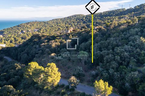 Villa i Begur, Gerona, Begur - € 2.490.000 | Ref: CBR66377 - foto 40